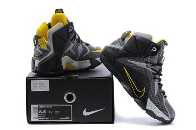 Cheap LeBrone James XII basketball shoes wholesale No. 618