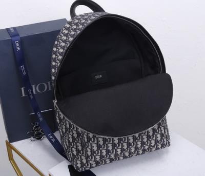 wholesale quality christian dior backpack oblique 93328 classic pattern