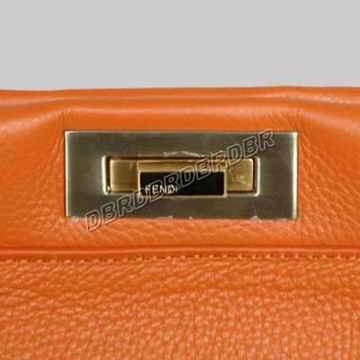 Fendi Handbag-2291cheng_14