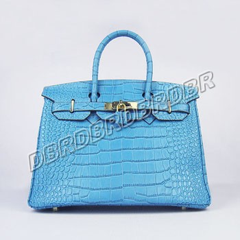 Hermes Handbag-y6088zleywj_419