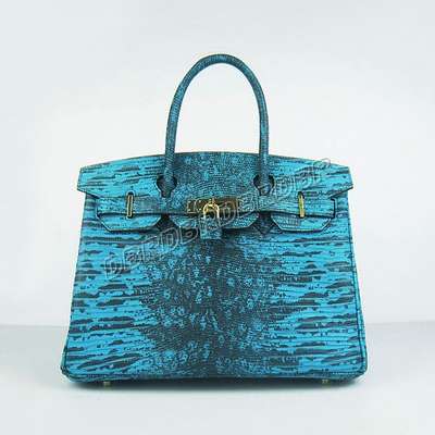 Hermes Handbag-y6088zlanxyJ_683