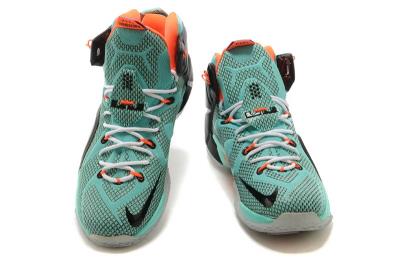 cheap lebron james xii cheap no. 349