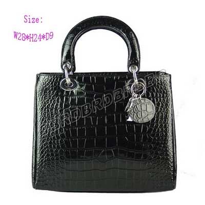 Christian Dior Handbag-9928zhongEyw_116