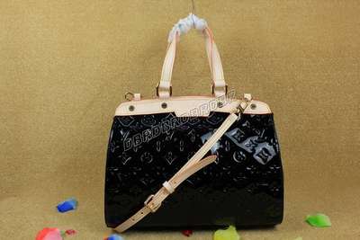 Louis Vuitton M91619 black/gray